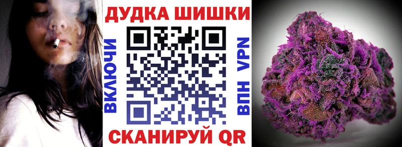 Как найти наркотики Городовиковск БУТИРАТ  Бошки Шишки  COCAIN  АМФ  Меф  Гашиш 