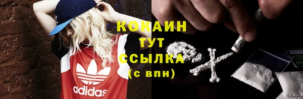 прущие крисы Анива