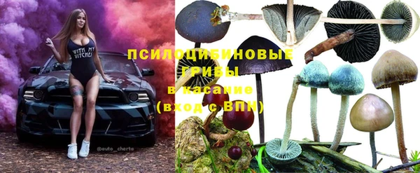 крисы Богданович