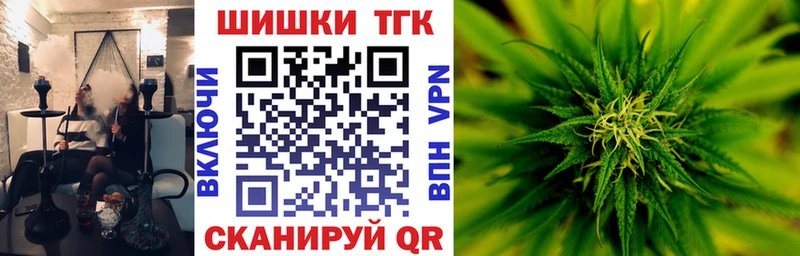 где продают   Городовиковск  Конопля план 